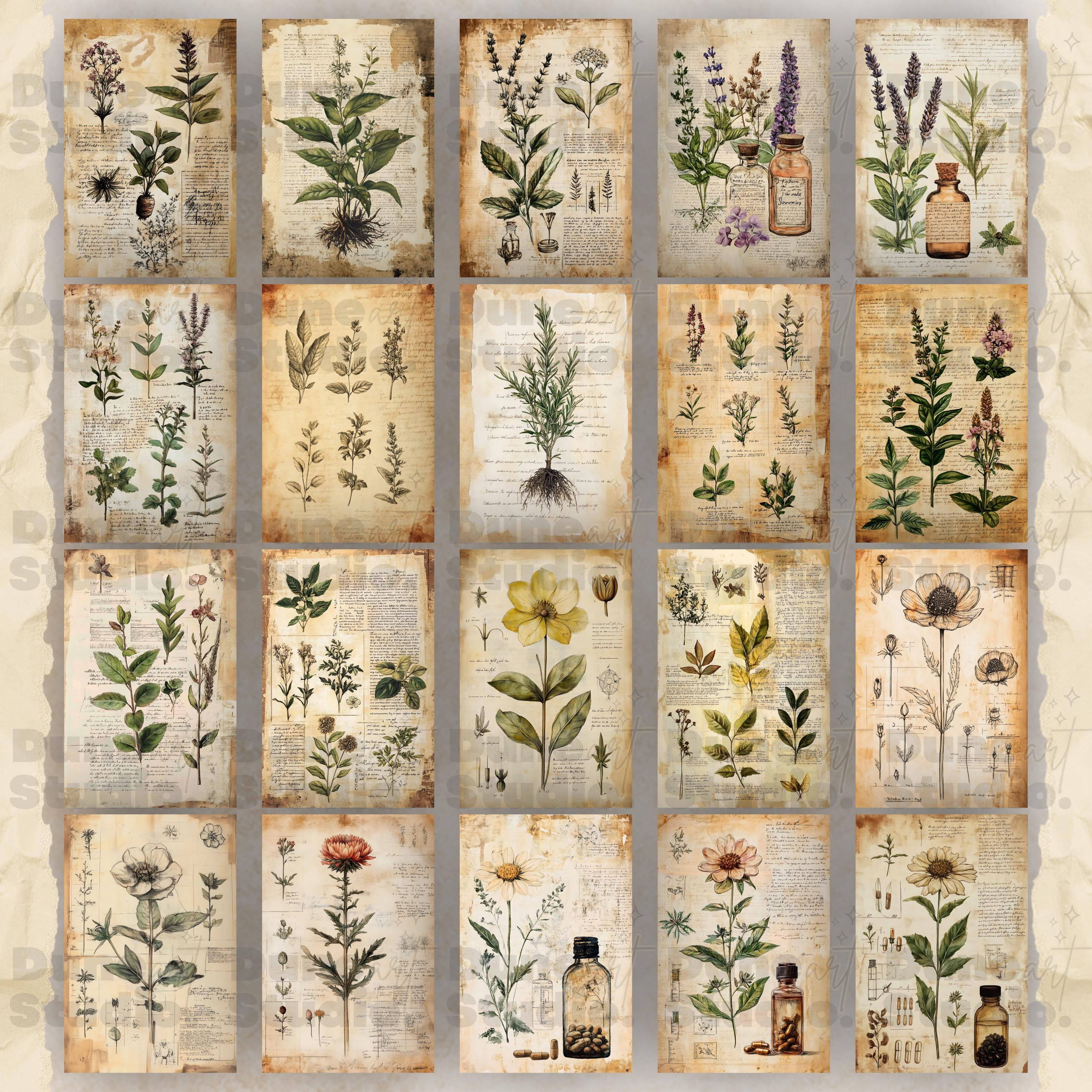 Botanical Herbs Junk Journal Pages, Digital Scrapbook Paper Kit, Herbal ...