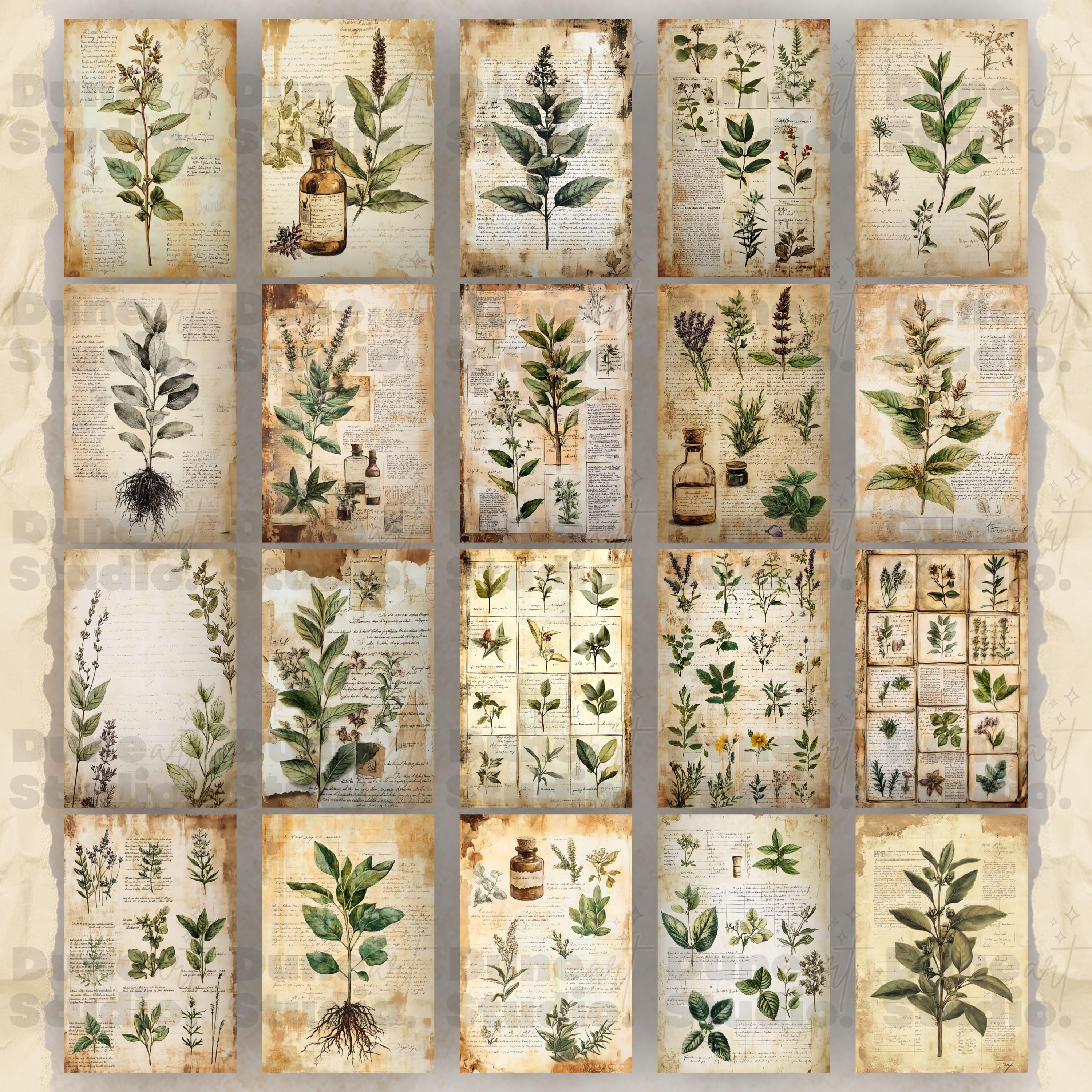 Botanical Herbs Junk Journal Pages, Digital Scrapbook Paper Kit, Herbal ...