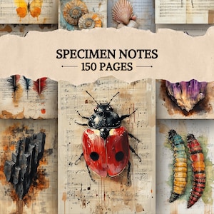 Peut inclure: Une collection de notes de spécimens illustrées avec une esthétique vintage. Les pages présentent des peintures à l'aquarelle d'insectes, de coquillages, de cristaux et de papillons. Le texte "SPECIMEN NOTES - 150 PAGES" est affiché en haut.