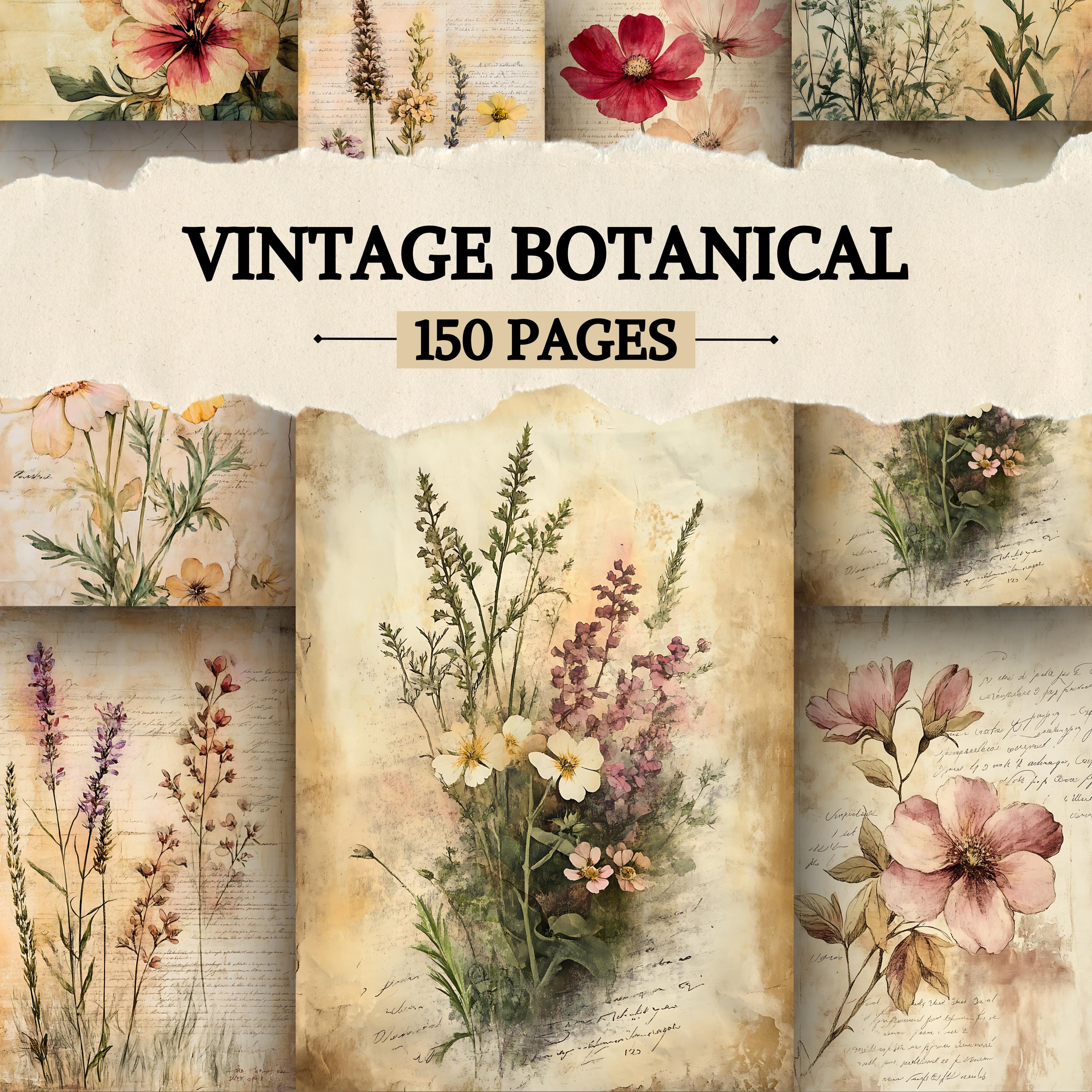 Vintage Botanical Junk Journal Pages, Digital Scrapbook Paper, Herbal ...