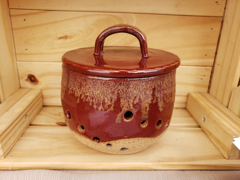 Garlic Keeper/garlic Holder/pottery Ceramic Garlic Holder/stoneware Storage/lidded Jar Etsy