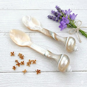 May include: Two decorative spoons with mother-of-pearl bowls and shell-shaped handles. The handles have a swirl design with shades of brown, white, and blue. A small bouquet of purple flowers and dried flowers are also in the image.