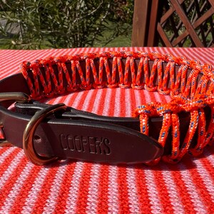 Puede incluir: Un collar de perro de cuero marrón con un diseño de paracord tejido de color naranja brillante y azul. El collar presenta una hebilla de latón y una placa con el nombre de cuero estampada que dice "COOPER'S".