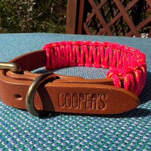Puede incluir: Un collar de perro de cuero marrón con una sección tejida de color rosa brillante. El collar tiene una hebilla de latón y un anillo de latón. El nombre "COOPER'S" está grabado en el cuero. El collar está sobre una superficie estampada azul y verde.