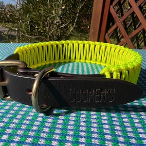 Puede incluir: Un collar de perro de cuero negro con una sección tejida de color amarillo neón. El collar tiene herrajes metálicos dorados y el nombre "COOPER'S" grabado en el cuero. El collar está sobre una superficie estampada azul y verde.