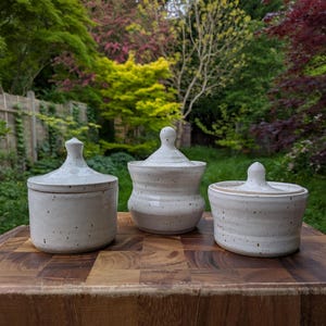 Hand Thrown Lidded jar / storage pot / treat jar