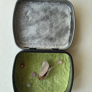 May include: A rectangular metal tin with a hinged lid, featuring a grey faux fur lining on the inside top. The bottom section is lined with green faux fur, containing a small brown moth figure and four tiny flower-shaped beads in pink and blue.