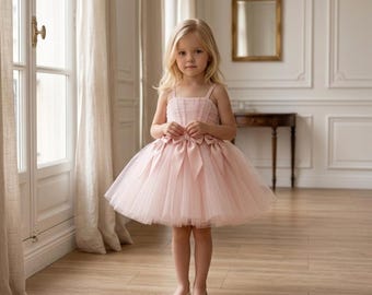 Rosa brudnäbbsklänning, tyllklänning för småbarn - Blush bröllopsklänning för flickor, födelsedagsfestklänning, prinsessoutfit för fotografering