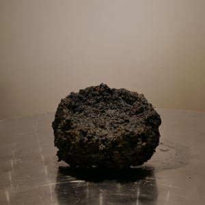 Könnte beinhalten: Ein kleines, kreisförmiges, schalenförmiges Objekt mit einer dunklen, groben und unebenen Oberfläche. Das Material erscheint dunkelbraun oder schwarz und ähnelt verdichteter Erde, mit einer ausgehöhlten Mitte und einem rauen Rand.