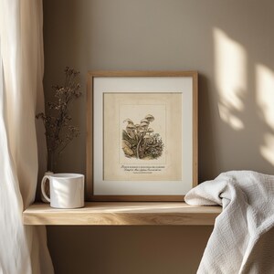 Fungi wall art for nursery — whimsical antique style mushrooms surrounded by gentle foliage in soft muted colors.