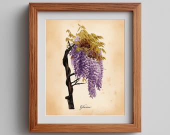 Vintage Wisteria Branch Print, Botaniczna Sztuka Akwarelowa (Pobranie Cyfrowe)