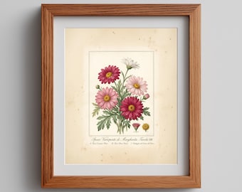 Ilustracja botaniczna z motywem kwiatowym w stylu vintage, klasyczna sztuka ścienna w stylu cottagecore (do pobrania w wersji cyfrowej)