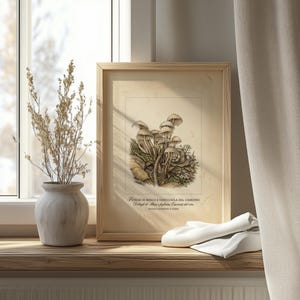 Detailed fungi art piece for craft nook — rustic botanical illustration rich in earthy colors and vintage flair.