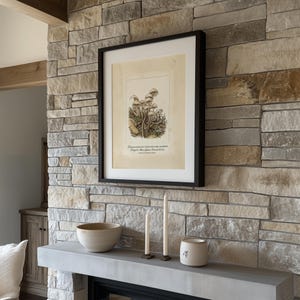 Intricate mushroom picture for living space — vintage botanical theme ideal for enhancing cozy cottage decor with soft colors.