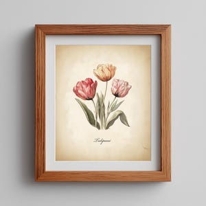 Vintage Tulip Watercolor Botanical Print, Floral Art Print Digital Download Printable