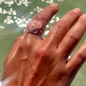 May include: A handmade ring featuring a small, light-colored seashell with reddish-brown markings. The shell is mounted on a thin, gold-colored band. The ring is worn on a finger, with a blurred, light green background.