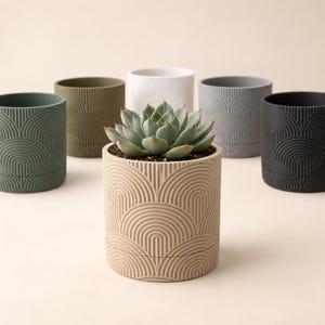 May include: A collection of six cylindrical plant pots in various colors including beige, dark green, olive, white, gray, and black. Each pot features a raised, repeating semi-circular arch pattern. A green succulent plant is centered in the beige pot.