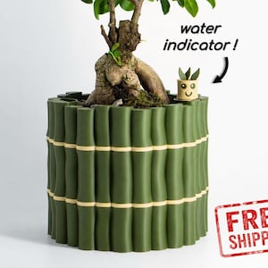 Easy Plant Care Self-Watering Planter | Bamboo Buddy Water Indicator, Multiple Opening Sizes