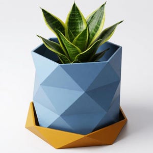 May include: A geometric blue planter with a matching yellow saucer holds a snake plant. The plant has green and yellow striped leaves. The planter has a faceted design, adding a modern touch to the home decor.