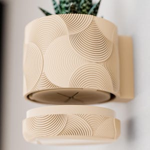 May include: A beige, wall-mounted planter with a matching saucer. The planter and saucer feature a repeating, concentric semi-circle pattern. A green plant with pointed leaves is visible in the planter.