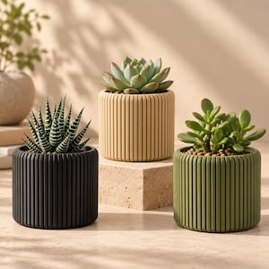 May include: Three cylindrical plant pots with vertical ribbed textures in black, beige, and olive green. Each pot contains a different succulent plant, including a striped Haworthia, a rosette-shaped Echeveria, and a small jade plant.