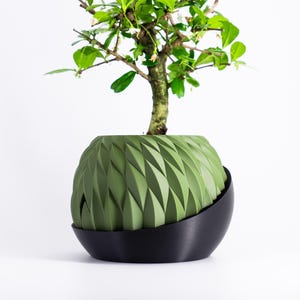 Self Watering Pot, Geometric Design with Water Level Indicator, 3 Sizes