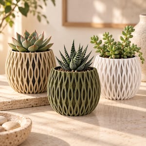 May include: Three round planters with a lattice-like exterior pattern, each containing a different succulent plant. The planters are beige, olive green, and white, arranged in a cluster. Each succulent has distinct leaf shapes and textures.