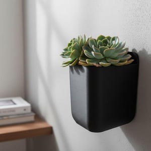 May include: A black, wall-mounted planter with a succulent plant. The planter is square-shaped with rounded corners and is attached to a white wall. The succulent has green and yellow-green leaves. A wooden shelf with books is visible in the background.