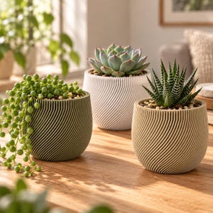 May include: Three round planters with a textured, spiraling ribbed pattern. One olive green planter holds a trailing string of pearls plant, one white planter contains a rosette succulent, and one beige planter holds a spiky, striped succulent.