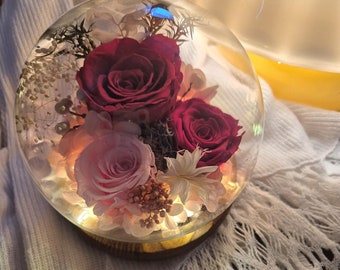 Red and pink preserved roses in glass dome- Valentines Day Couple Gift-Preserved rose in glass dome-Happy Birthday-Anniversary Gift