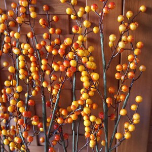 May include: A bunch of artificial berry stems with small, round, orange and yellow berries. The stems are brown and have a green, textured covering.