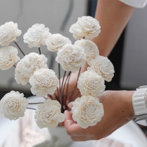 Dried white ornamental sola wood flowers-dried sola wood flowers-Crafts and Supplies-Home decor