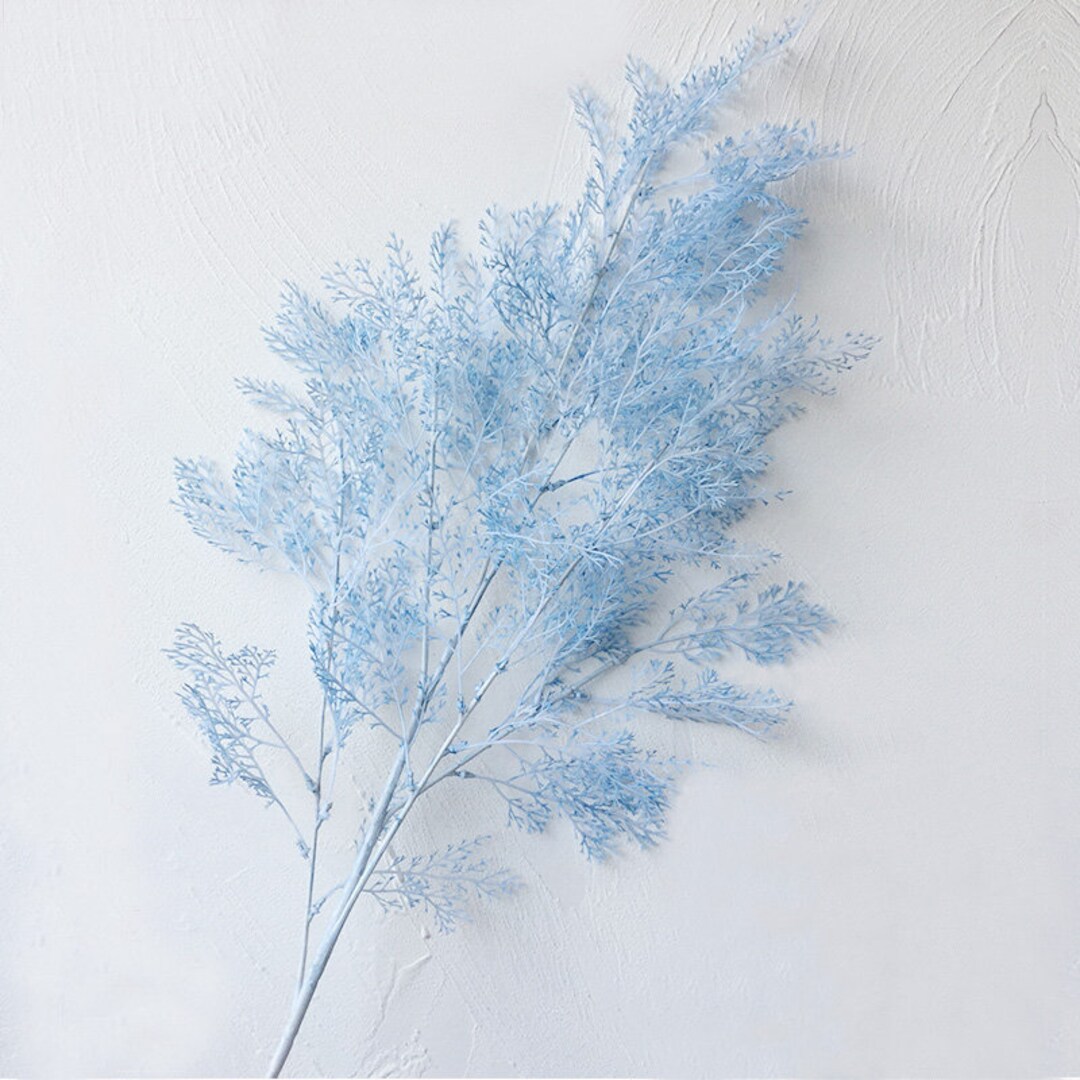 Misty 2024 blue flower