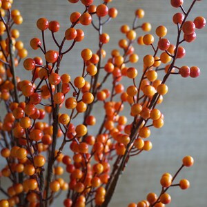 May include: A bunch of orange and yellow berry sprigs with brown stems. The berries are clustered together on the branches.