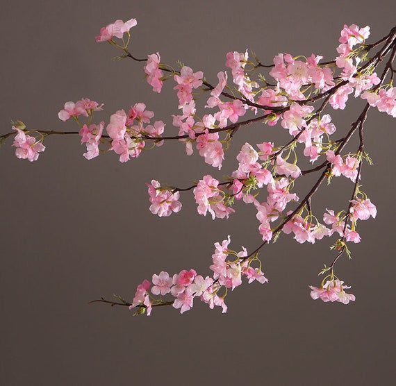 Sakura Cherry Blossom Flower Snack Box Organizer