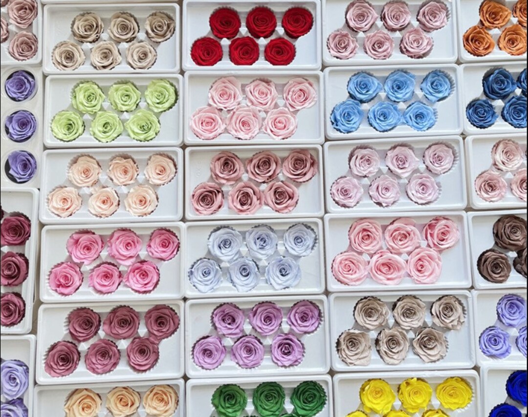 Premium Preserved Roses-white Preserved Roses-baby Blue Preserved Roses ...