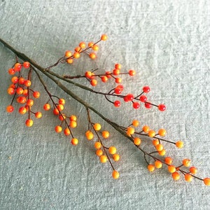 May include: A branch with small orange and red berries. The berries are clustered together on the branch, which is thin and brown. The berries are a mix of orange and red, and they are all about the same size.