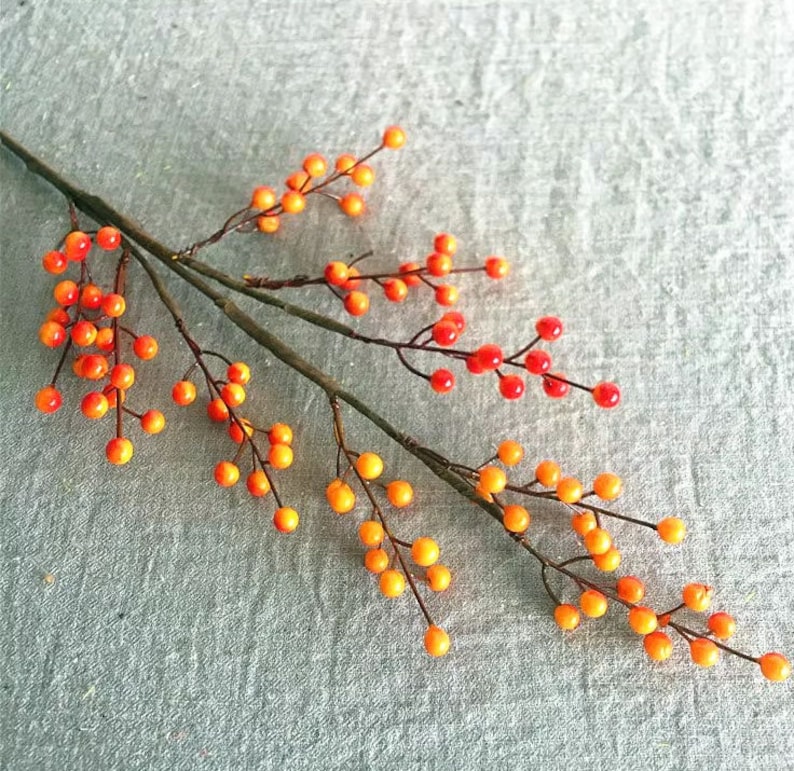 May include: A branch with small orange and red berries. The berries are clustered together on the branch, which is thin and brown. The berries are a mix of orange and red, and they are all about the same size.