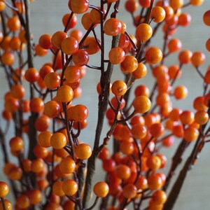 May include: A bunch of artificial berry sprigs with orange and red berries. The berries are clustered together on thin brown branches.