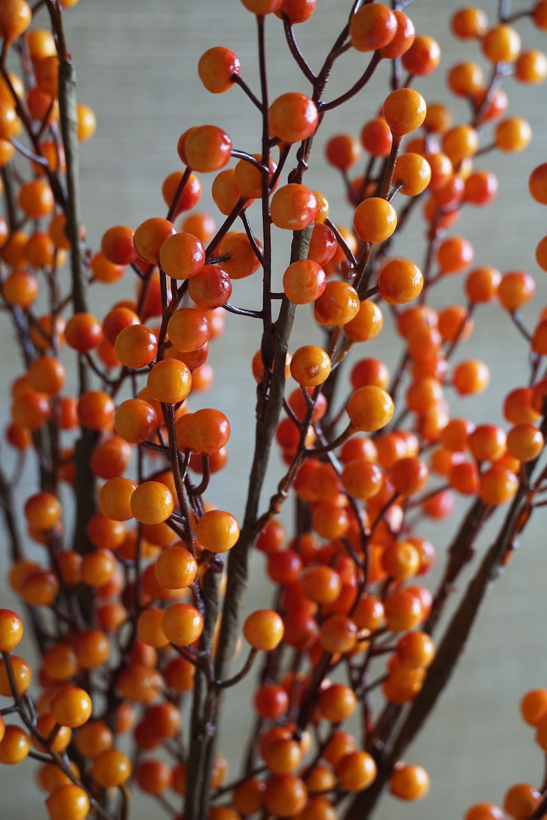 May include: A bunch of artificial berry sprigs with orange and red berries. The berries are clustered together on thin brown branches.