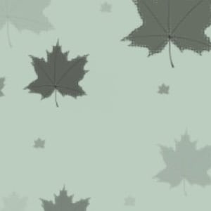 Maple leaf brush for Procreate