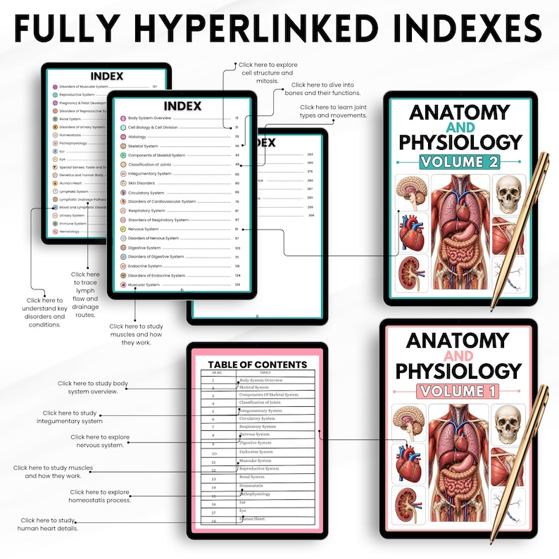 Anatomy and Physiology Mega Bundle Vol 1 & 2 | Nursing Study Guide | 10 ...