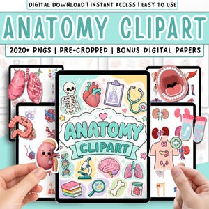 Könnte beinhalten: Eine digitale Download-Grafik mit Anatomie-Cliparts. Das Bild enthält Illustrationen von Herz, Lunge, Gehirn und anderen Körperteilen. Der Text lautet "ANATOMY CLIPART" und "2020+ PNGS | PRE-CROPPED | BONUS DIGITAL PAPERS".