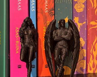 Bryce Quinlan & Hunt Athalar figuren | Crescent City-geïnspireerde decoratie | Fantasy boekenplank display | Cadeau voor boekenliefhebbers | 3D-geprinte verzamelobjecten