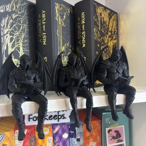 Op de afbeelding: Drie zwarte, matte, gevleugelde mannelijke beeldjes in zittende houding, elk met een klein boekje in de hand. De figuren staan op een plank voor twee zwarte boeken met gouden letters, getiteld A Court of Mist and Fury en A Court of Wings and Ruin.