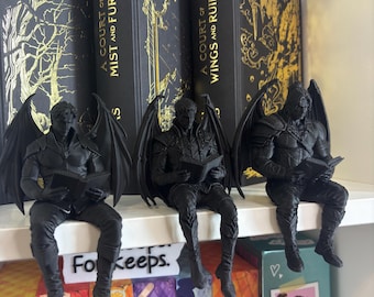 Può includere: Tre statuette maschili alate in nero opaco in posizione seduta, ognuna delle quali tiene in mano un piccolo libro. Le figure sono esposte su uno scaffale davanti a due libri neri con scritte dorate intitolati A Court of Mist and Fury e A Court of Wings and Ruin.
