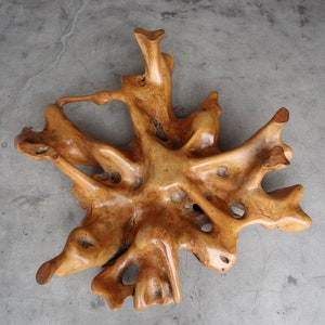 Organic Free Form Polished Burl Root Coffee Table Base image 2