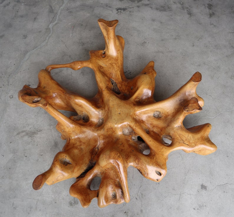 Organic Free Form Polished Burl Root Coffee Table Base image 2