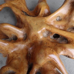 Organic Free Form Polished Burl Root Coffee Table Base image 3