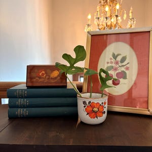 May include: A still life arrangement featuring a small potted plant with a vibrant orange floral design, a framed botanical print, and a stack of green books. A decorative wooden box with floral inlay sits atop the books. A chandelier hangs in the background.